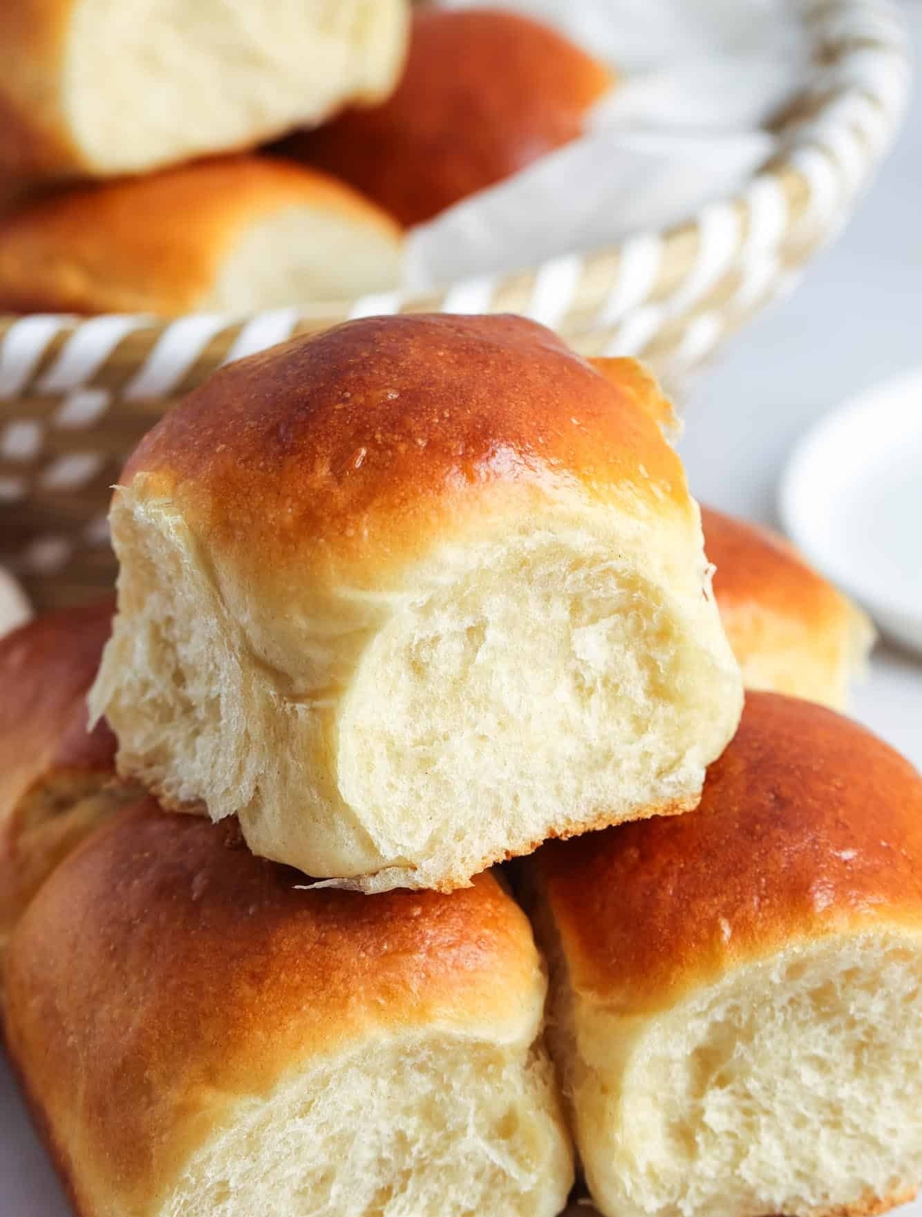 Dinner Rolls