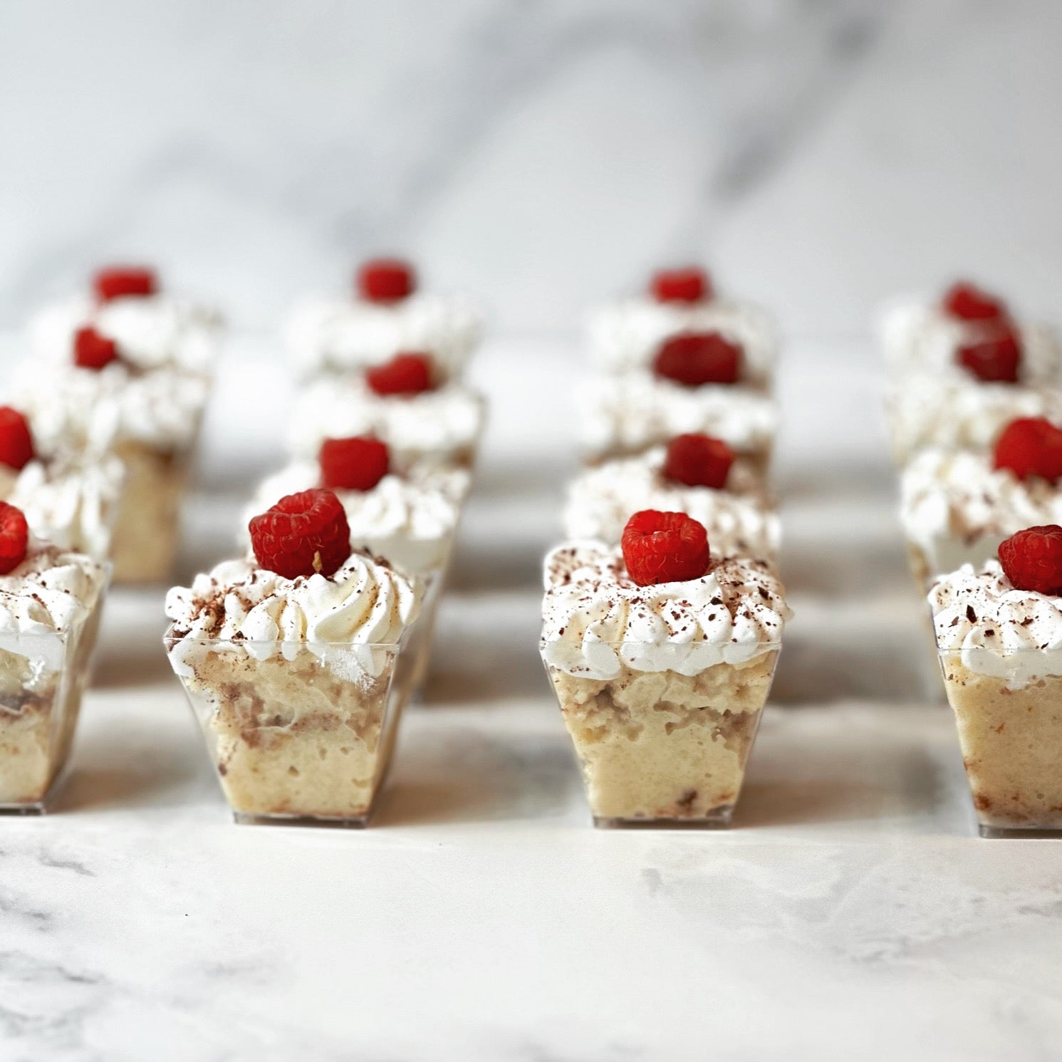 Mini Tres Leches - BOX 16 – Latin Bakery Austin